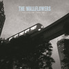 One Headlight - The Wallflowers